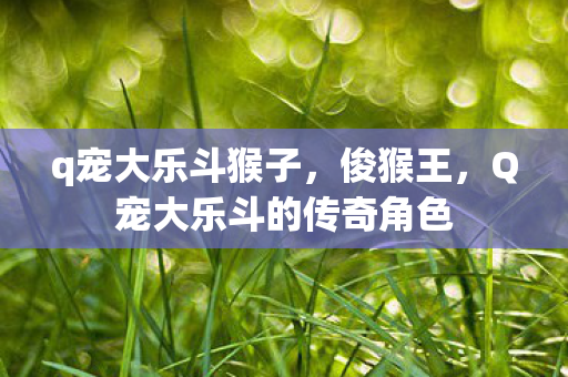 q宠大乐斗猴子，俊猴王，Q宠大乐斗的传奇角色