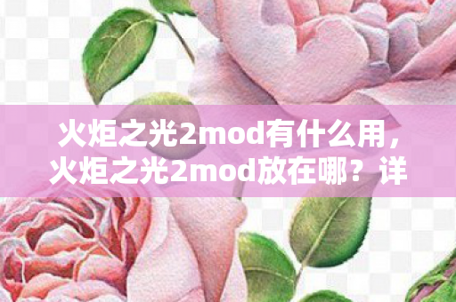 火炬之光2mod有什么用，火炬之光2mod放在哪？详细指南助你轻松安装
