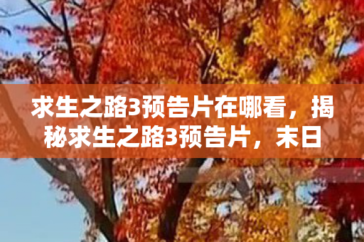 求生之路3预告片在哪看，揭秘求生之路3预告片，末日之旅的新篇章