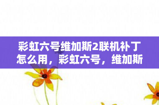 彩虹六号维加斯2联机补丁怎么用，彩虹六号，维加斯2联机补丁全解析