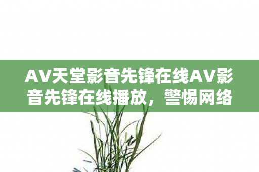 AV天堂影音先锋在线AV影音先锋在线播放，警惕网络陷阱，远离AV天堂影音先锋在线等非法网站