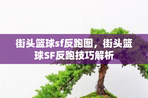 街头篮球sf反跑图，街头篮球SF反跑技巧解析