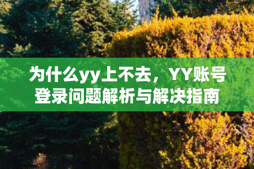 为什么yy上不去，YY账号登录问题解析与解决指南