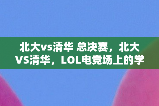 北大vs清华 总决赛，北大VS清华，LOL电竞场上的学术较量