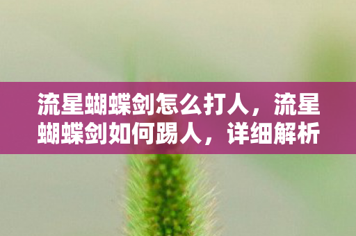 流星蝴蝶剑怎么打人，流星蝴蝶剑如何踢人，详细解析与操作指南