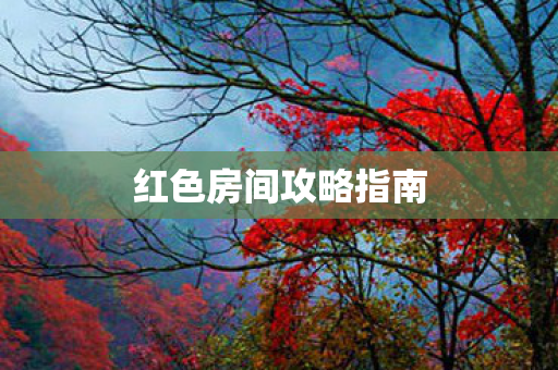 红色房间攻略指南
