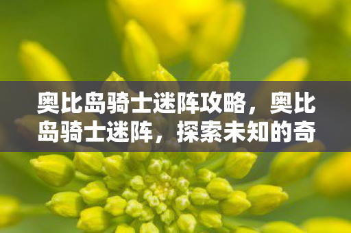 奥比岛骑士迷阵攻略，奥比岛骑士迷阵，探索未知的奇幻之旅