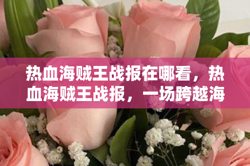 热血海贼王战报在哪看，热血海贼王战报，一场跨越海洋的冒险之旅