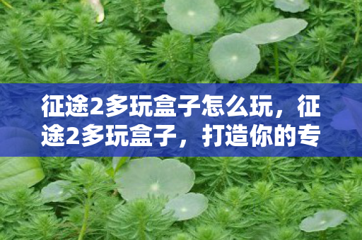 征途2多玩盒子怎么玩，征途2多玩盒子，打造你的专属游戏世界