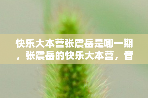 快乐大本营张震岳是哪一期，张震岳的快乐大本营，音乐与生活的双重奏