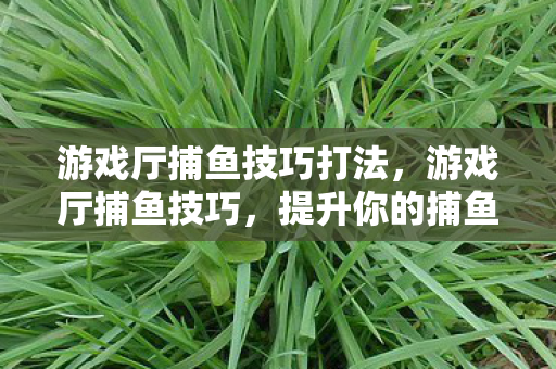 游戏厅捕鱼技巧打法，游戏厅捕鱼技巧，提升你的捕鱼效率与乐趣
