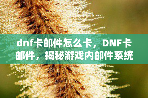 dnf卡邮件怎么卡，DNF卡邮件，揭秘游戏内邮件系统的隐藏功能