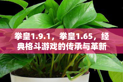 拳皇1.9.1，拳皇1.65，经典格斗游戏的传承与革新