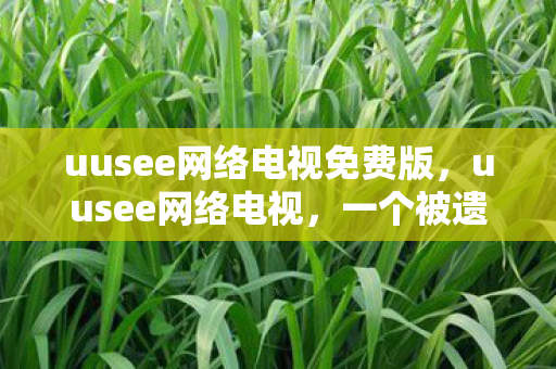 uusee网络电视免费版，uusee网络电视，一个被遗忘的互联网娱乐先锋