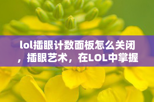 lol插眼计数面板怎么关闭，插眼艺术，在LOL中掌握视野控制的奥秘
