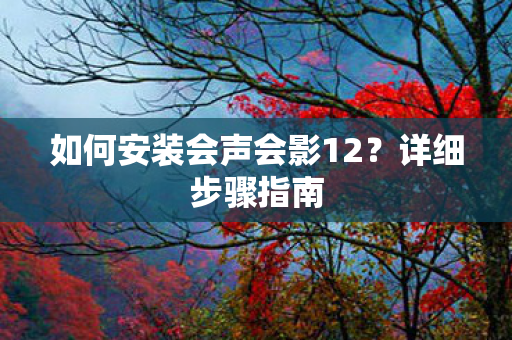 如何安装会声会影12？详细步骤指南