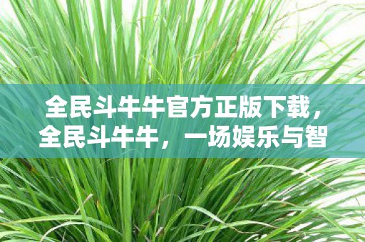 全民斗牛牛官方正版下载，全民斗牛牛，一场娱乐与智慧的碰撞