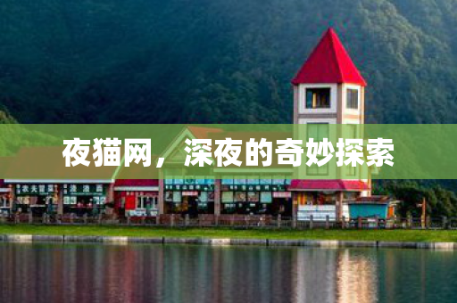 夜猫网，深夜的奇妙探索