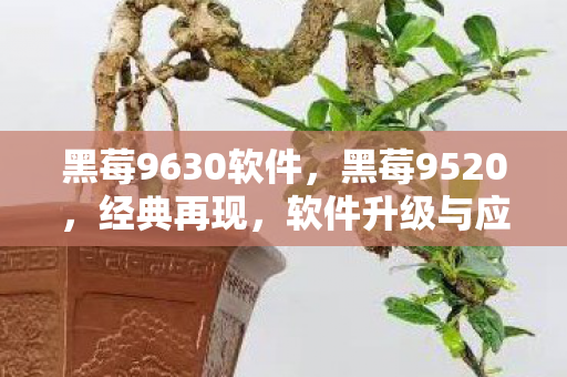 黑莓9630软件，黑莓9520，经典再现，软件升级与应用的探索