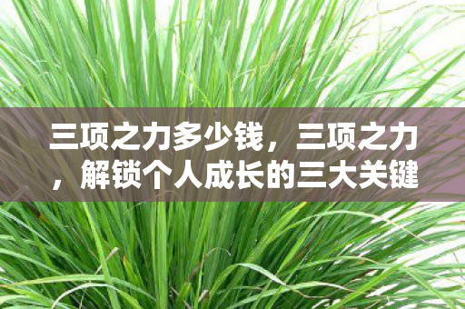 三项之力多少钱，三项之力，解锁个人成长的三大关键要素