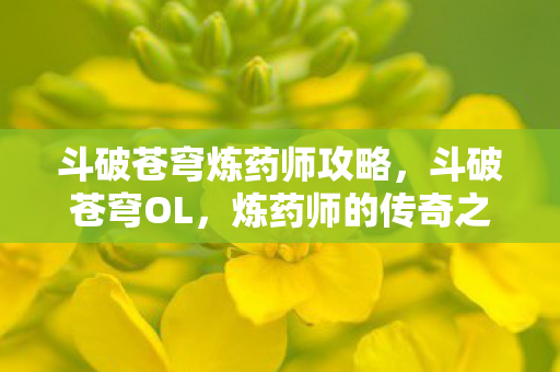 斗破苍穹炼药师攻略，斗破苍穹OL，炼药师的传奇之旅