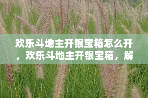 欢乐斗地主开银宝箱怎么开，欢乐斗地主开银宝箱，解锁你的游戏新体验