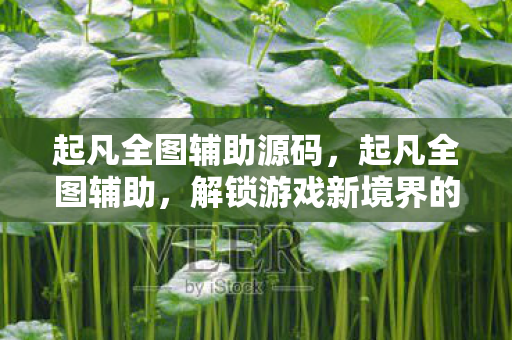 起凡全图辅助源码，起凡全图辅助，解锁游戏新境界的利器