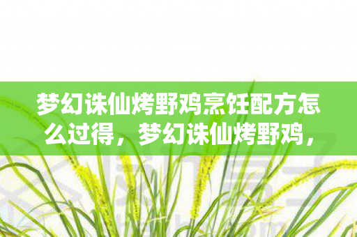 梦幻诛仙烤野鸡烹饪配方怎么过得，梦幻诛仙烤野鸡，一场味蕾与回忆的盛宴