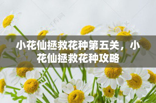 小花仙拯救花种第五关，小花仙拯救花种攻略
