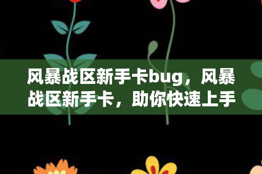 风暴战区新手卡bug，风暴战区新手卡，助你快速上手的攻略指南