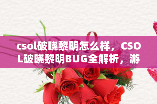 csol破晓黎明怎么样，CSOL破晓黎明BUG全解析，游戏乐趣与挑战的另类解读
