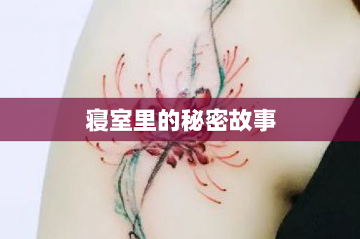 寝室里的秘密故事