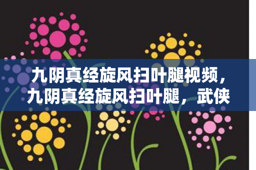 九阴真经旋风扫叶腿视频，九阴真经旋风扫叶腿，武侠世界中的绝世武技