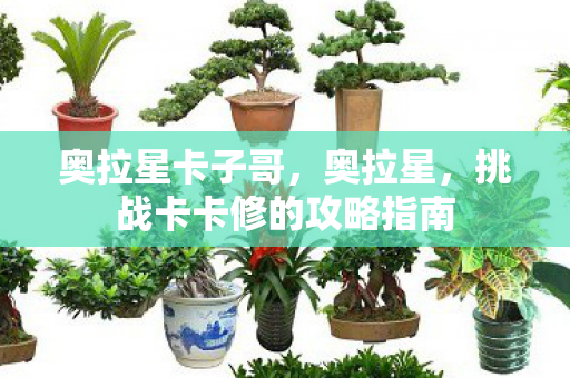 奥拉星卡子哥，奥拉星，挑战卡卡修的攻略指南