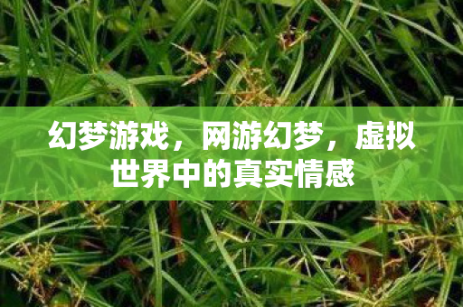 幻梦游戏，网游幻梦，虚拟世界中的真实情感