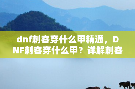 dnf刺客穿什么甲精通，DNF刺客穿什么甲？详解刺客装备选择