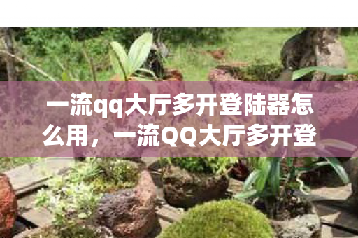 一流qq大厅多开登陆器怎么用，一流QQ大厅多开登陆器，高效便捷，打造你的专属聊天体验