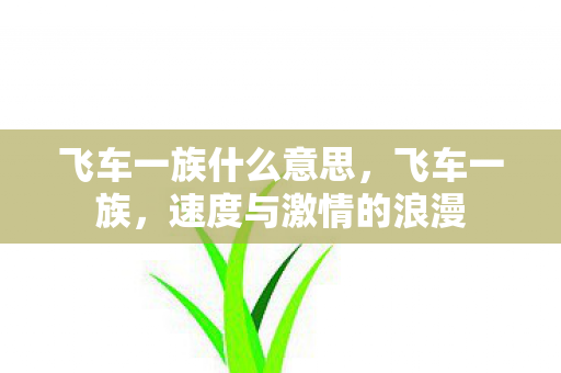 飞车一族什么意思，飞车一族，速度与激情的浪漫
