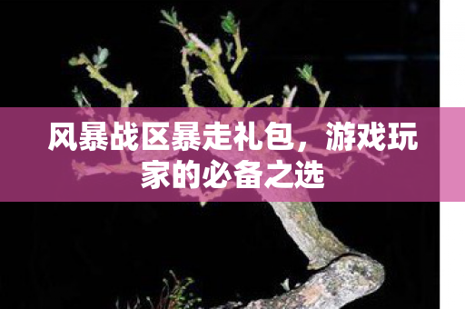 风暴战区暴走礼包，游戏玩家的必备之选