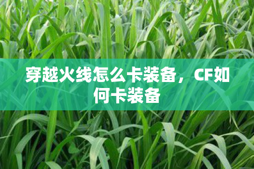 穿越火线怎么卡装备，CF如何卡装备