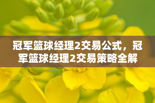 冠军篮球经理2交易公式，冠军篮球经理2交易策略全解析