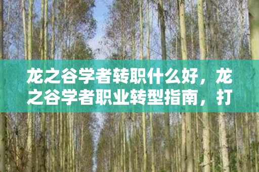 龙之谷学者转职什么好，龙之谷学者职业转型指南，打造你的专属学者之路