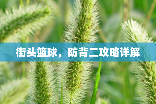 街头篮球，防背二攻略详解