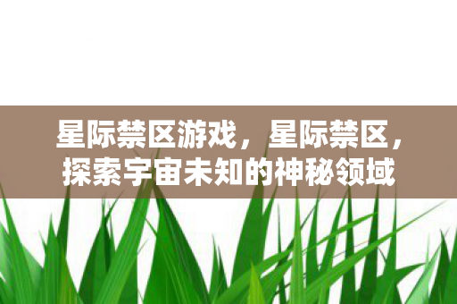 星际禁区游戏，星际禁区，探索宇宙未知的神秘领域
