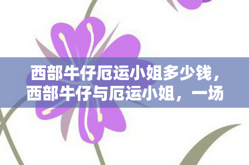 西部牛仔厄运小姐多少钱，西部牛仔与厄运小姐，一场跨越时空的浪漫邂逅