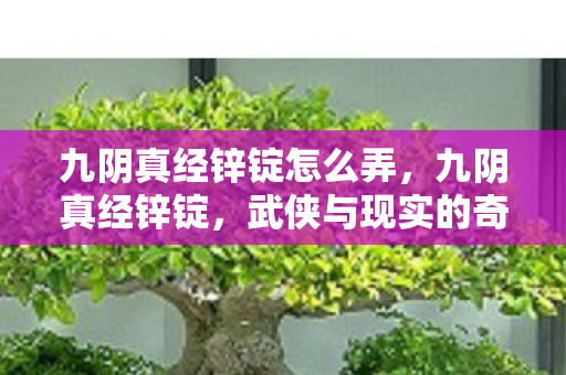 九阴真经锌锭怎么弄，九阴真经锌锭，武侠与现实的奇妙碰撞