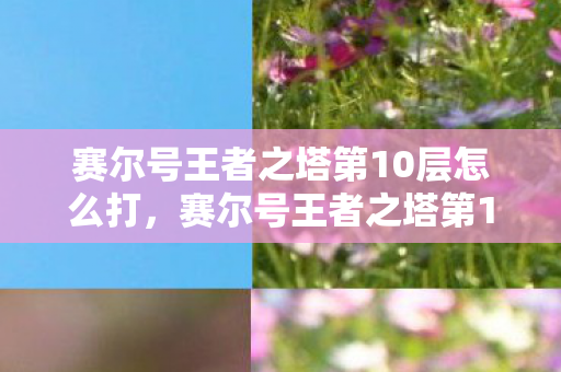 赛尔号王者之塔第10层怎么打，赛尔号王者之塔第10层，挑战与荣耀的巅峰