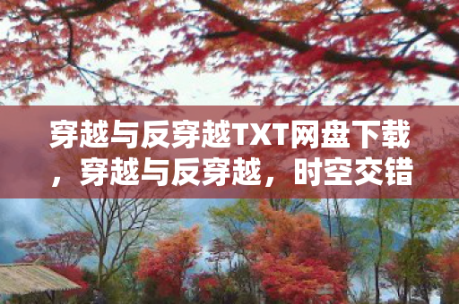 穿越与反穿越TXT网盘下载，穿越与反穿越，时空交错的奇幻之旅