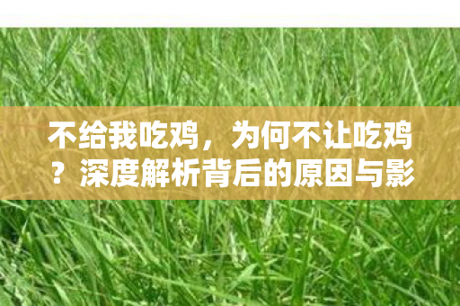 不给我吃鸡，为何不让吃鸡？深度解析背后的原因与影响