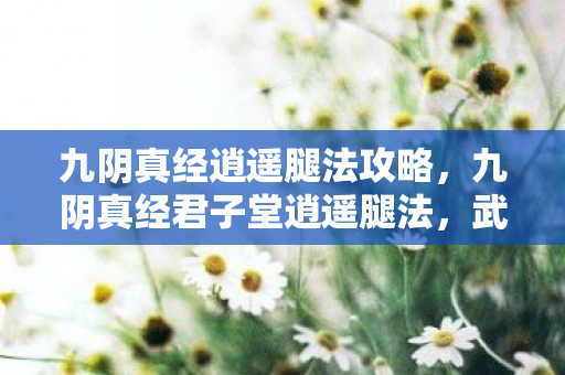 九阴真经逍遥腿法攻略，九阴真经君子堂逍遥腿法，武侠世界中的绝世轻功